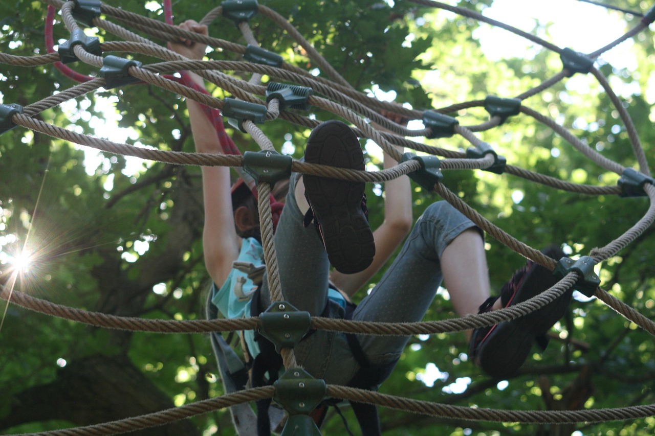 Tree Net Climbing Adventure
